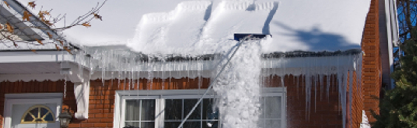 Cape Home Sitter Snow on Roof