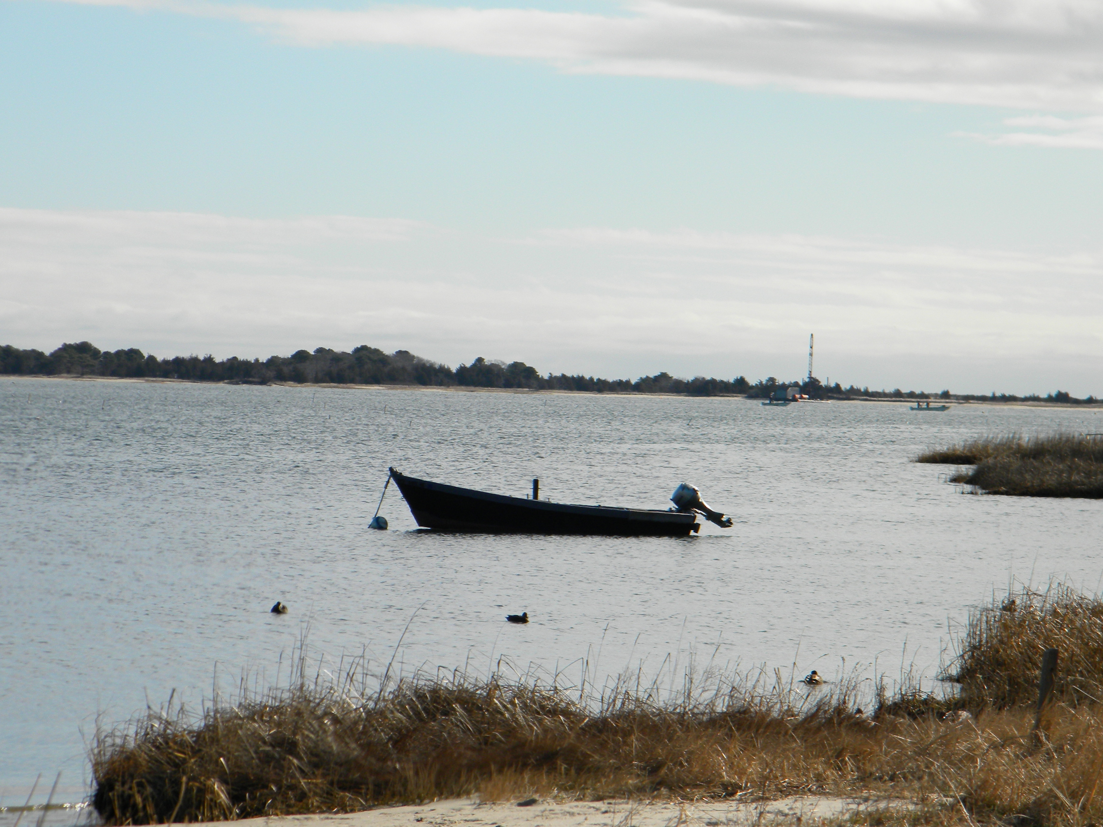 property management company